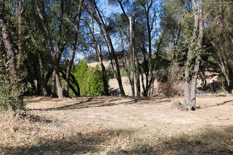 3201 Mortara Cir, Placerville, CA 95667 photo 57