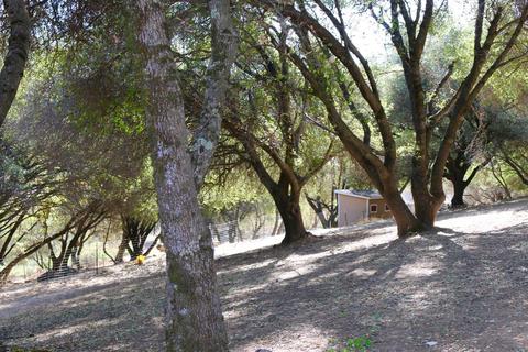 3201 Mortara Cir, Placerville, CA 95667 photo 59