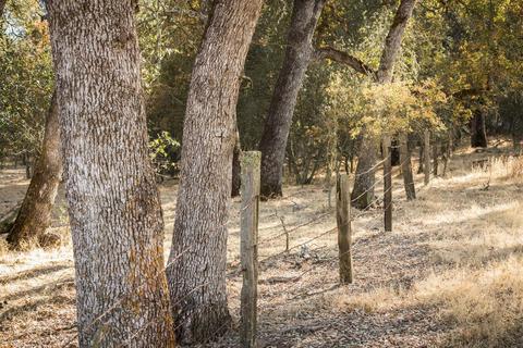 5919 Chile Camp Rd, Burson, CA 95225 photo 19