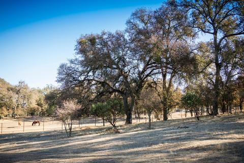 5919 Chile Camp Rd, Burson, CA 95225 photo 49