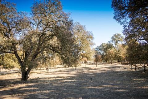 5919 Chile Camp Rd, Burson, CA 95225 photo 47
