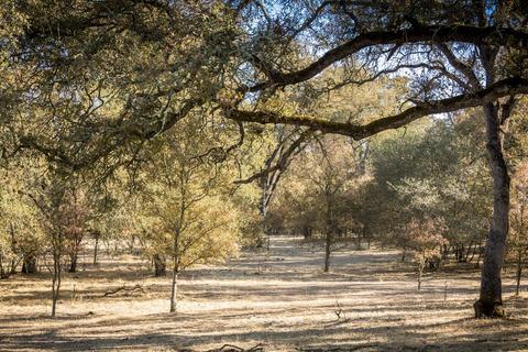 5919 Chile Camp Rd, Burson, CA 95225 photo 37