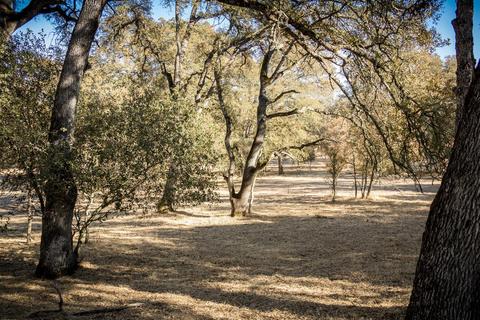 5919 Chile Camp Rd, Burson, CA 95225 photo 48