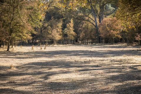 5919 Chile Camp Rd, Burson, CA 95225 photo 43