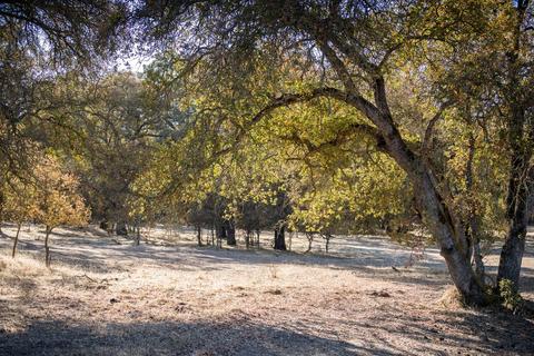 5919 Chile Camp Rd, Burson, CA 95225 photo 38