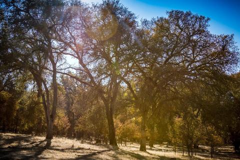 5919 Chile Camp Rd, Burson, CA 95225 photo 40