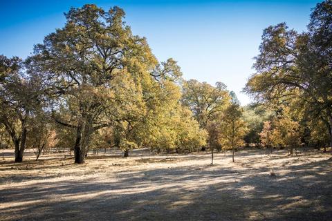 5919 Chile Camp Rd, Burson, CA 95225 photo 44