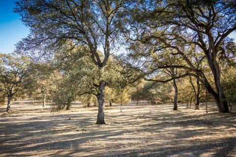 5919 Chile Camp Rd, Burson, CA 95225 photo 20