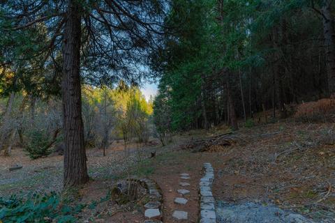 14220 Pine Grove Volcano Rd, Pine Grove, CA 95665 photo 7