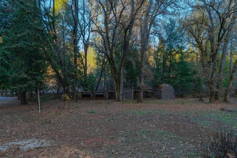 14220 Pine Grove Volcano Rd, Pine Grove, CA 95665 photo 15