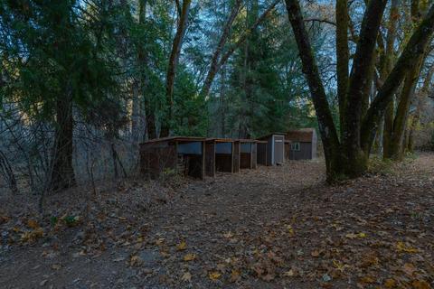 14220 Pine Grove Volcano Rd, Pine Grove, CA 95665 photo 21