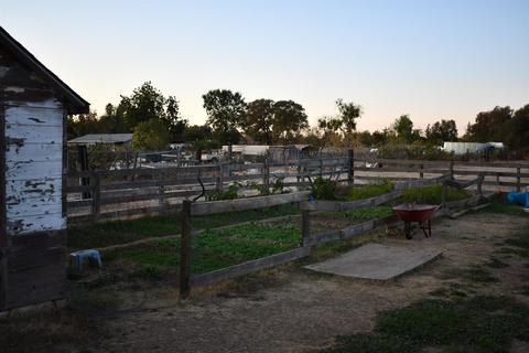 3673 E Calimyrna Rd, Acampo, CA 95220 photo 52