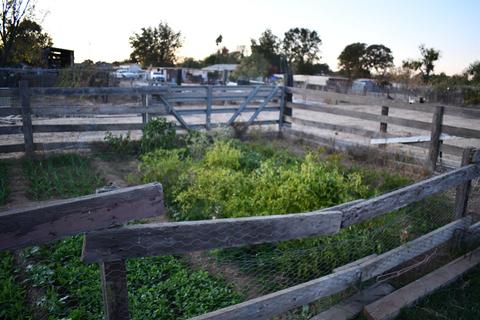 3673 E Calimyrna Rd, Acampo, CA 95220 photo 57