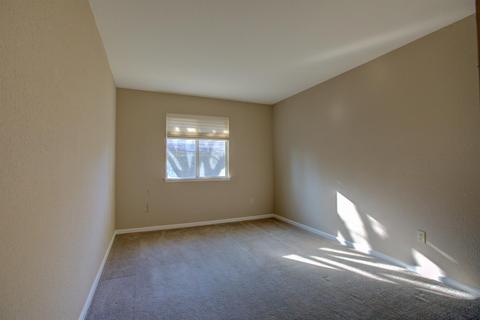 220 Meyenberg Ave, Ripon, CA 95366 photo 29