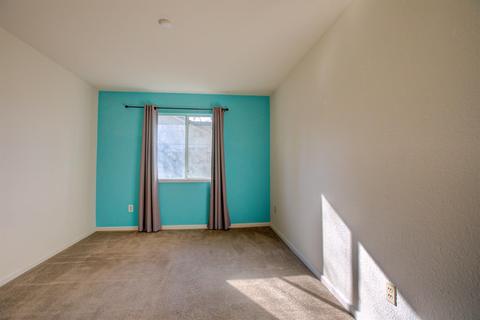 220 Meyenberg Ave, Ripon, CA 95366 photo 28