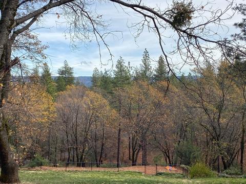 1055 Dusty Rd, Colfax, CA 95713 photo 8
