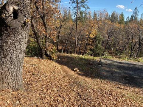 1055 Dusty Rd, Colfax, CA 95713 photo 17
