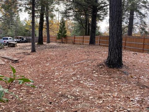 1055 Dusty Rd, Colfax, CA 95713 photo 4