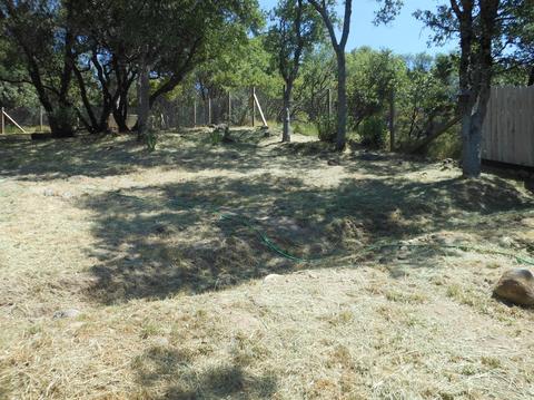 3551 Cedar Ravine Rd, Placerville, CA 95667 photo 24
