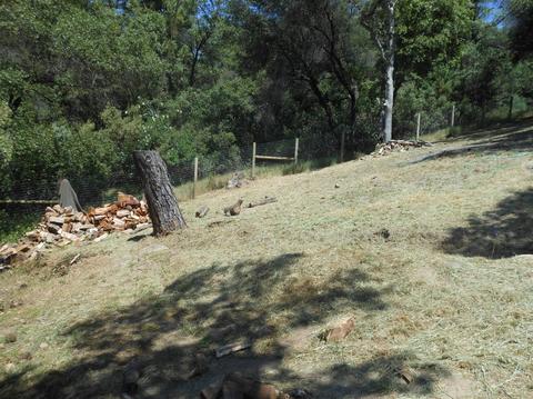 3551 Cedar Ravine Rd, Placerville, CA 95667 photo 22