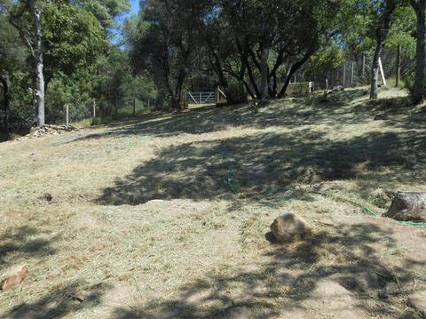 3551 Cedar Ravine Rd, Placerville, CA 95667 photo 23