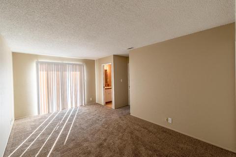 596 W Alpine Ave, Manteca, CA 95336 photo 18