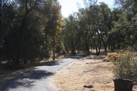 9275 Sheep Ranch Rd, Mountain Ranch, CA 95246 photo 12