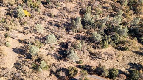 9275 Sheep Ranch Rd, Mountain Ranch, CA 95246 photo 20