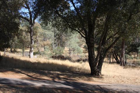 9275 Sheep Ranch Rd, Mountain Ranch, CA 95246 photo 11