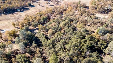 9275 Sheep Ranch Rd, Mountain Ranch, CA 95246 photo 17