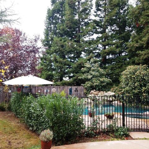 152 Biscayne Way, Folsom, CA 95630 photo 51