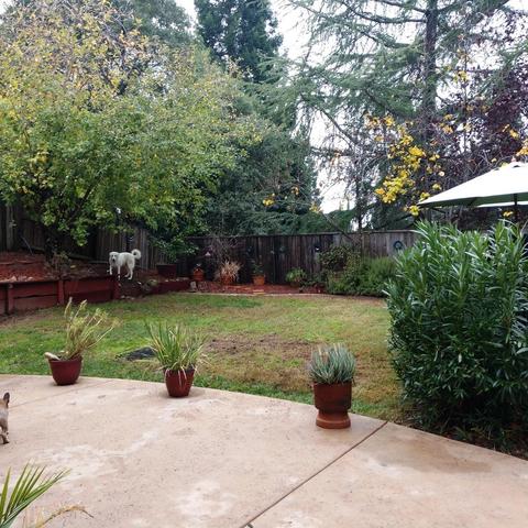 152 Biscayne Way, Folsom, CA 95630 photo 52