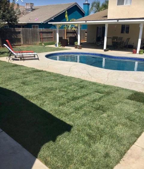 2887 Malik Ave, Ceres, CA 95307 photo 24