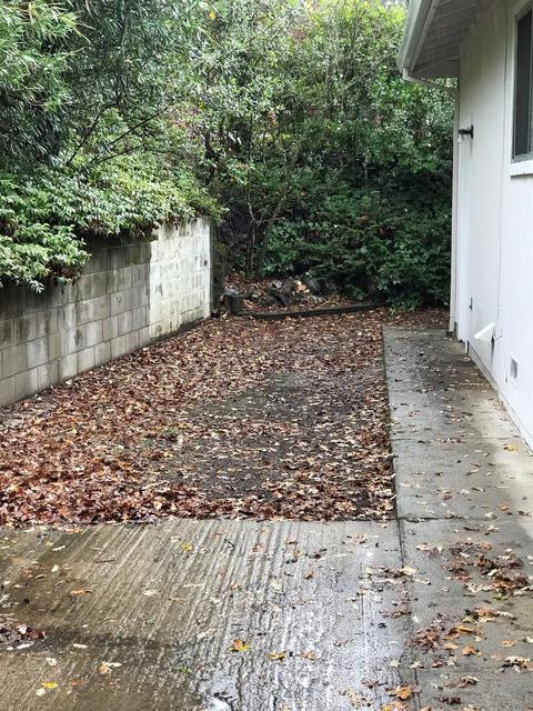 140 Bright Ave, Jackson, CA 95642 photo 21