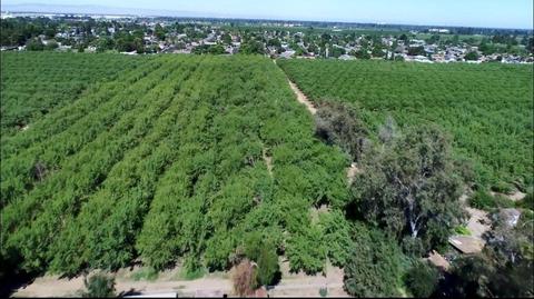 523 Root Rd, Modesto, CA 95357 photo 26