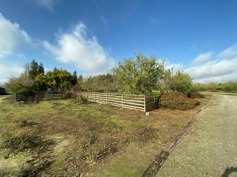 24320 S Frederick Rd, Ripon, CA 95366 photo 23