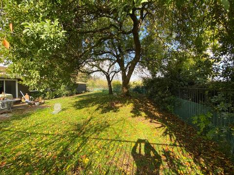 24320 S Frederick Rd, Ripon, CA 95366 photo 16