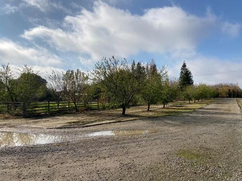 24320 S Frederick Rd, Ripon, CA 95366 photo 22