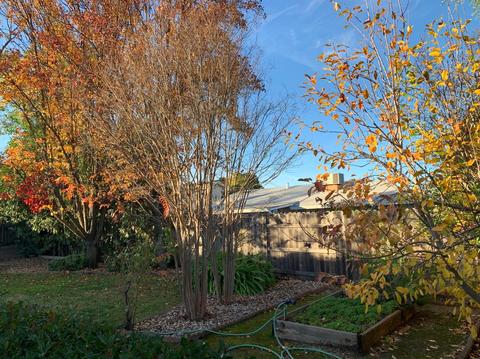 5989 Adana Cir, Carmichael, CA 95608 photo 8