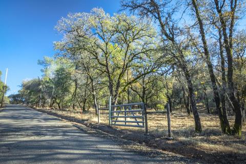 3440 Sundance Trl, Placerville, CA 95667 photo 4