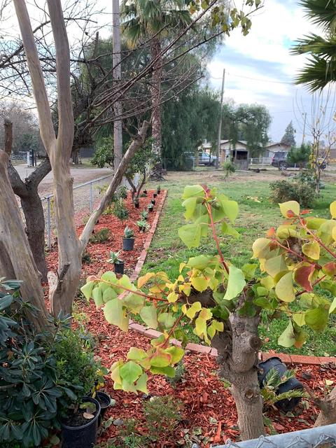 2419 Robertson Rd, Modesto, CA 95358 photo 55