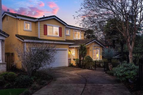 3200 Via Verde Ter, Davis, CA 95618 photo 54