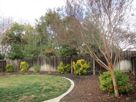 655 Blossom Ct, Manteca, CA 95336 photo 24