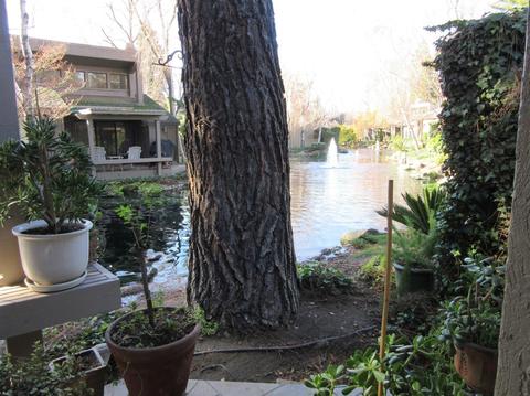 1833 Edgebrook Dr #B, Modesto, CA 95354 photo 49