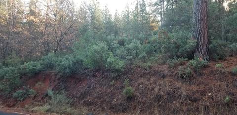 14580 Surrey Junction Ln, Sutter Creek, CA 95685 photo 2