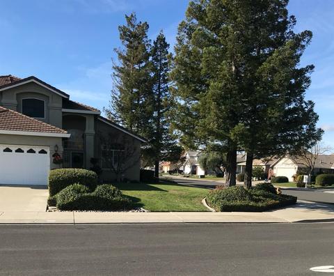 1181 Azalea St, Ripon, CA 95366 photo 3