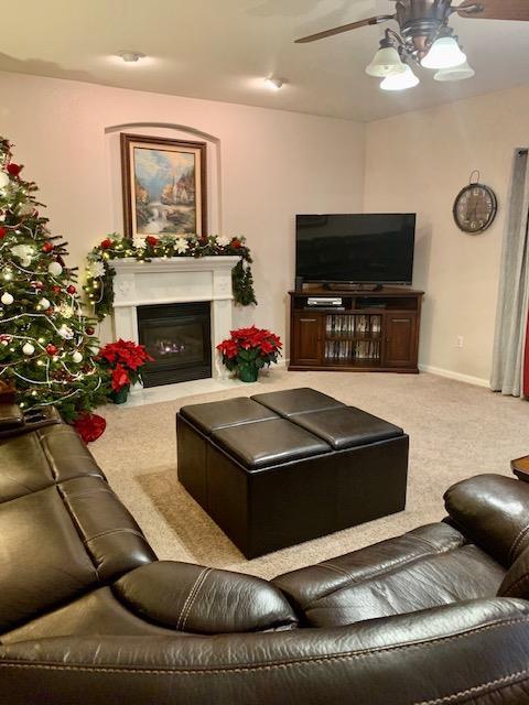 1181 Azalea St, Ripon, CA 95366 photo 17