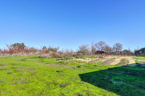 25450 County Road 95, Davis, CA 95616 photo 47