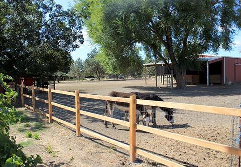 25450 County Road 95, Davis, CA 95616 photo 40