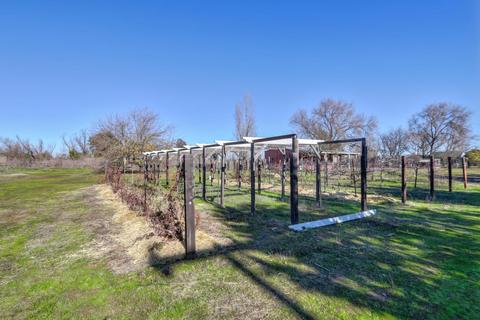 25450 County Road 95, Davis, CA 95616 photo 51